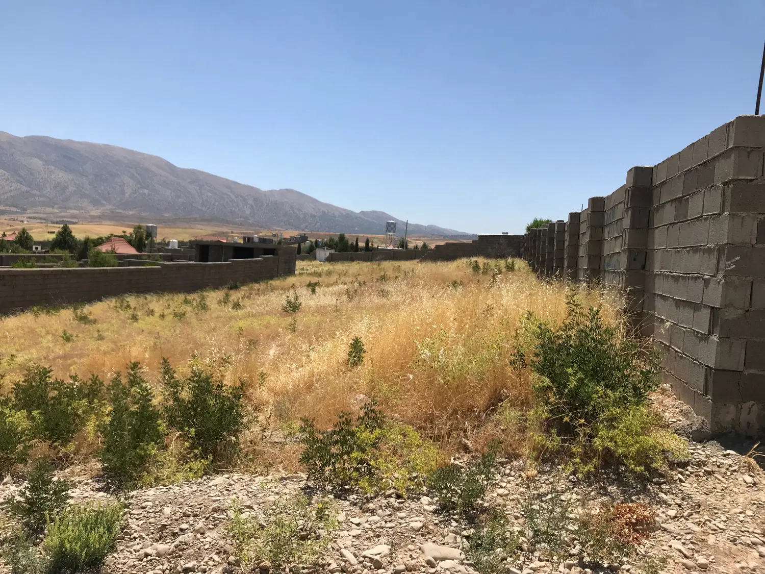 زمین باغی سیاخ دارنگون گلدشت