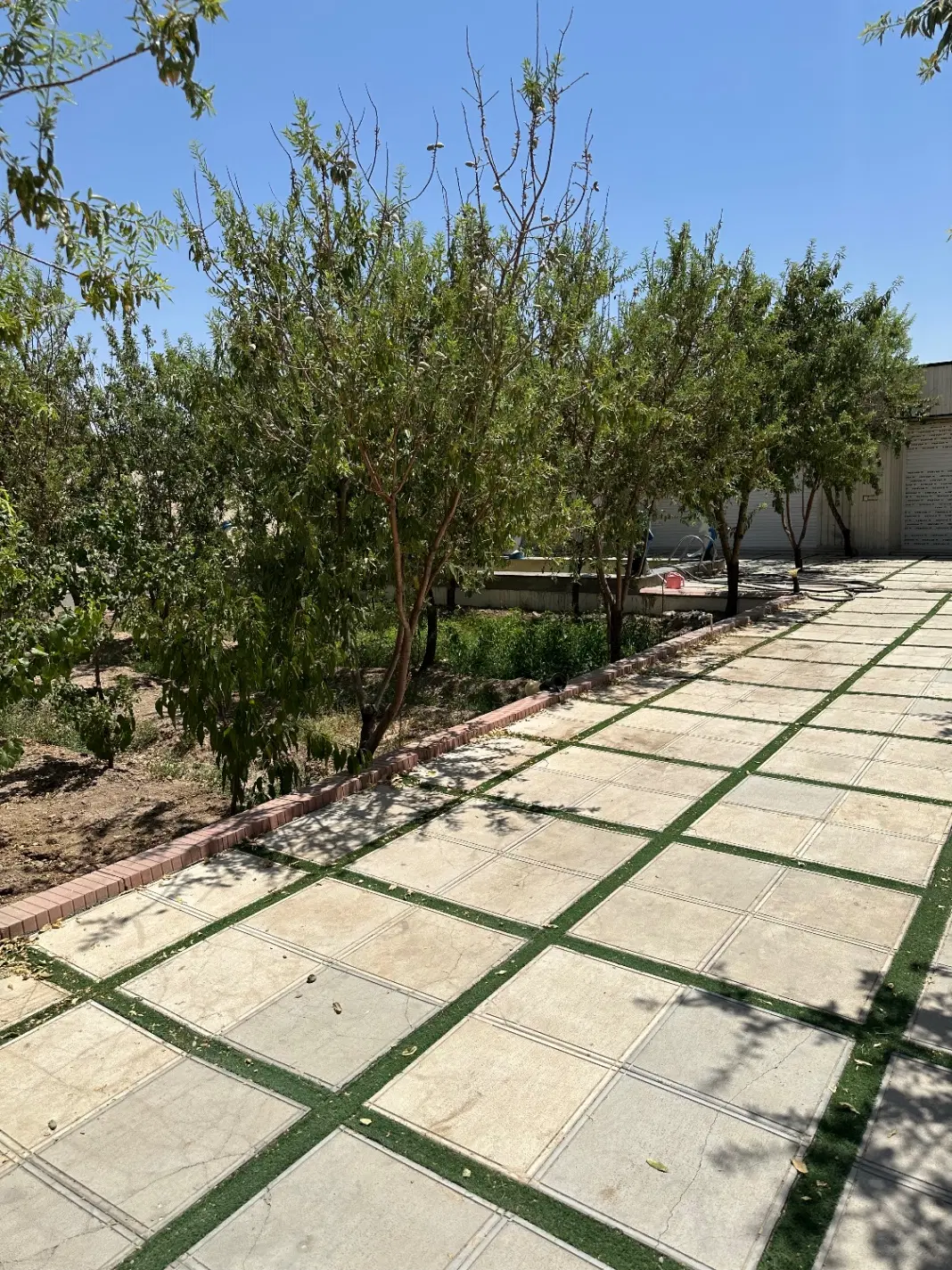 فروش باغ ۷۰۰ متری در قلعه سفید