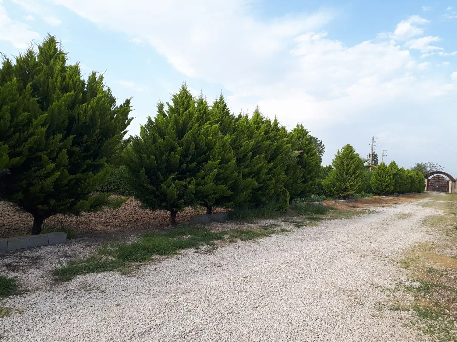 زمین صفر آباد درازکلا خیابان معاینه فنی حدادیان