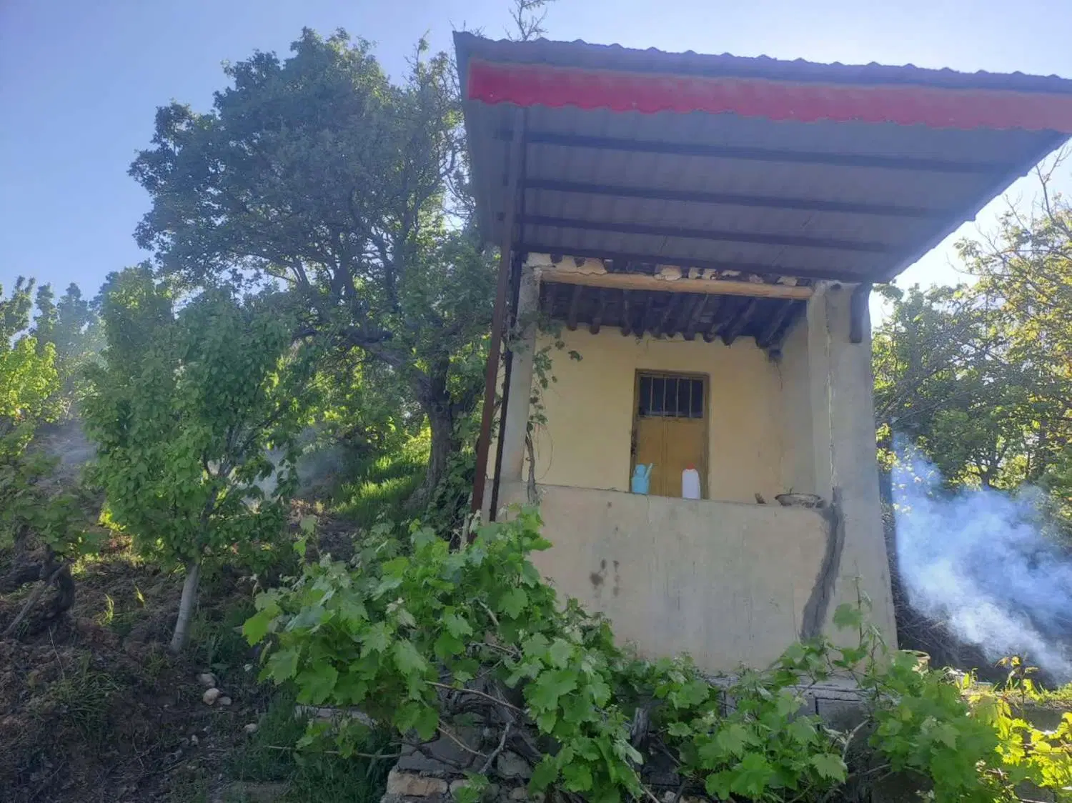 فروش باغ آبی،در جاده قدیم،روبروی روستای بدرانلو