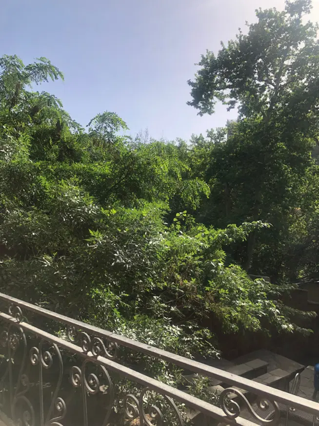 ۱۶۸متر ۳خواب  نور بینظیر