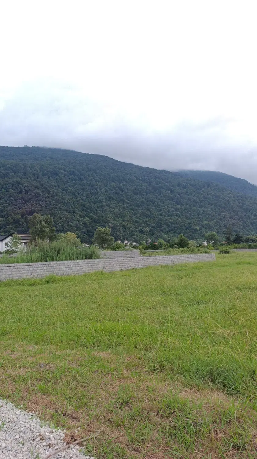 به جای چمستان بیا چسب نمک ابرود