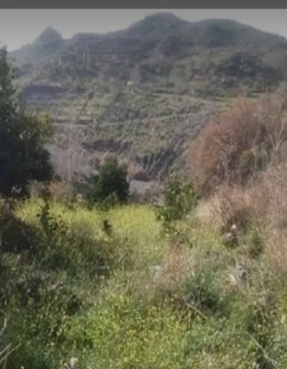 فروش زمین