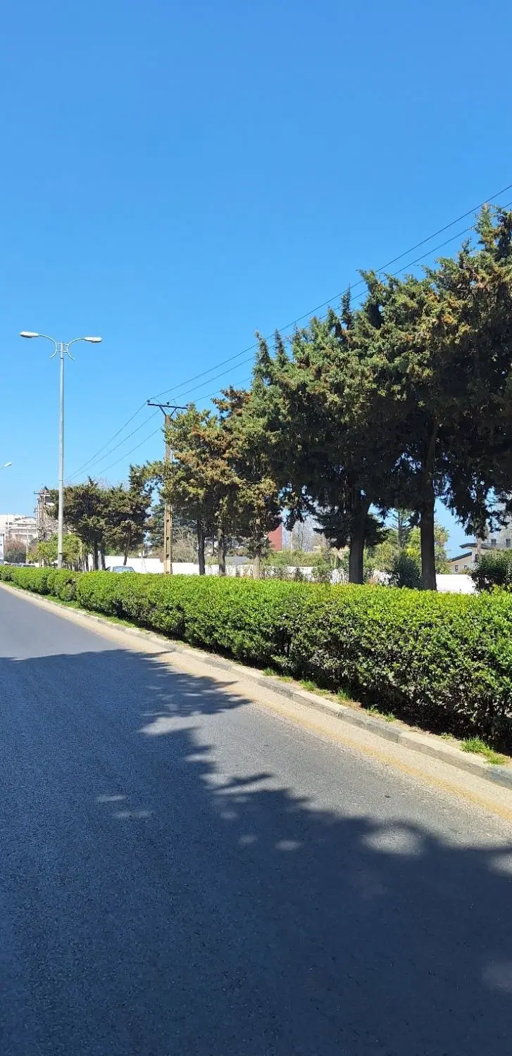 رامسر ۶۵۰۰ متر زمین بر اصلی ( قابل تهاتر )