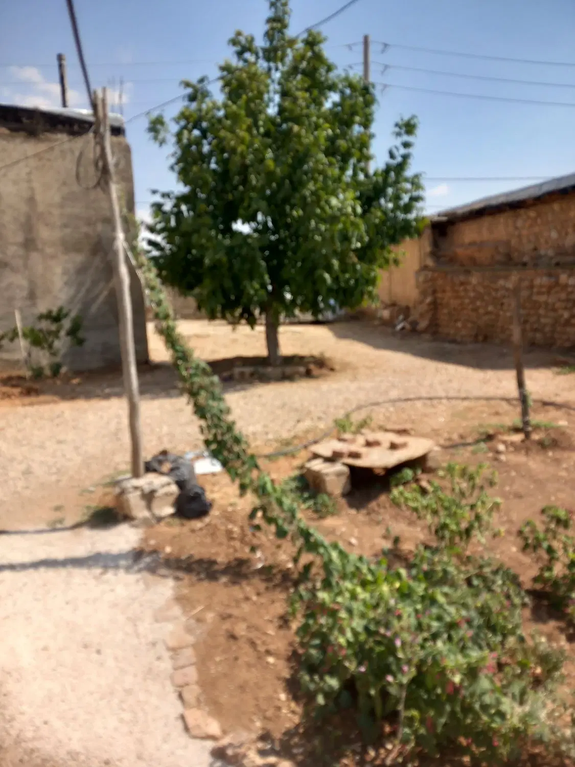 خانه فروشی