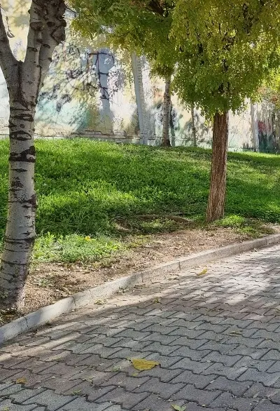 زمین لب اتوبان الشتر خرم ابادروستای رضااباد