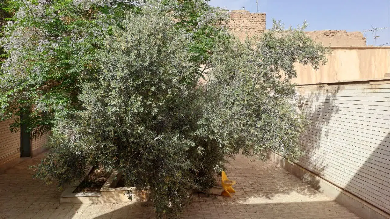 منزل مسکونی