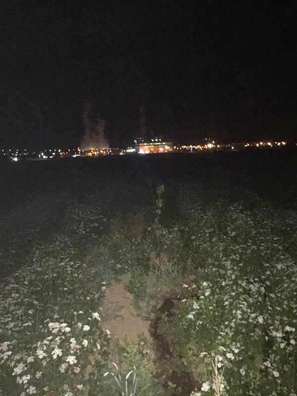 زمین کشاورزی