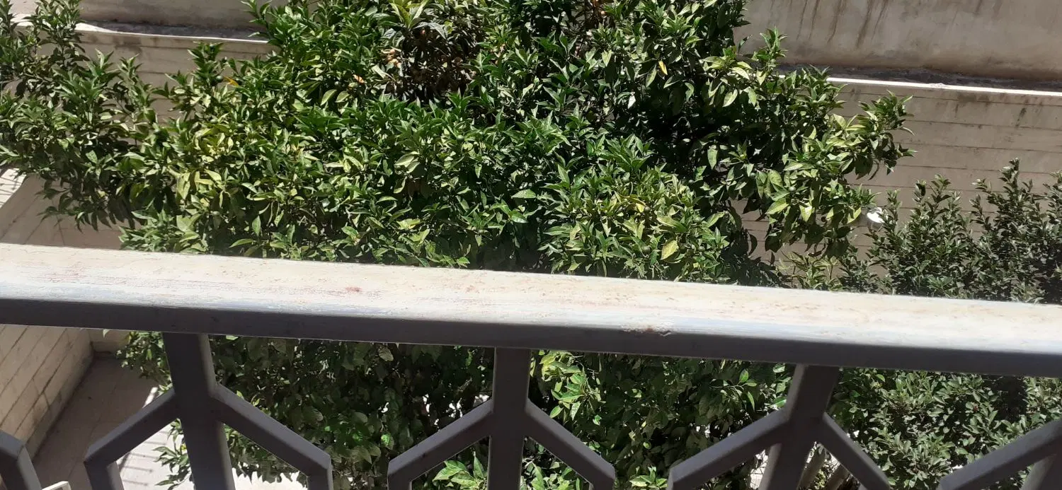 اجاره منزل