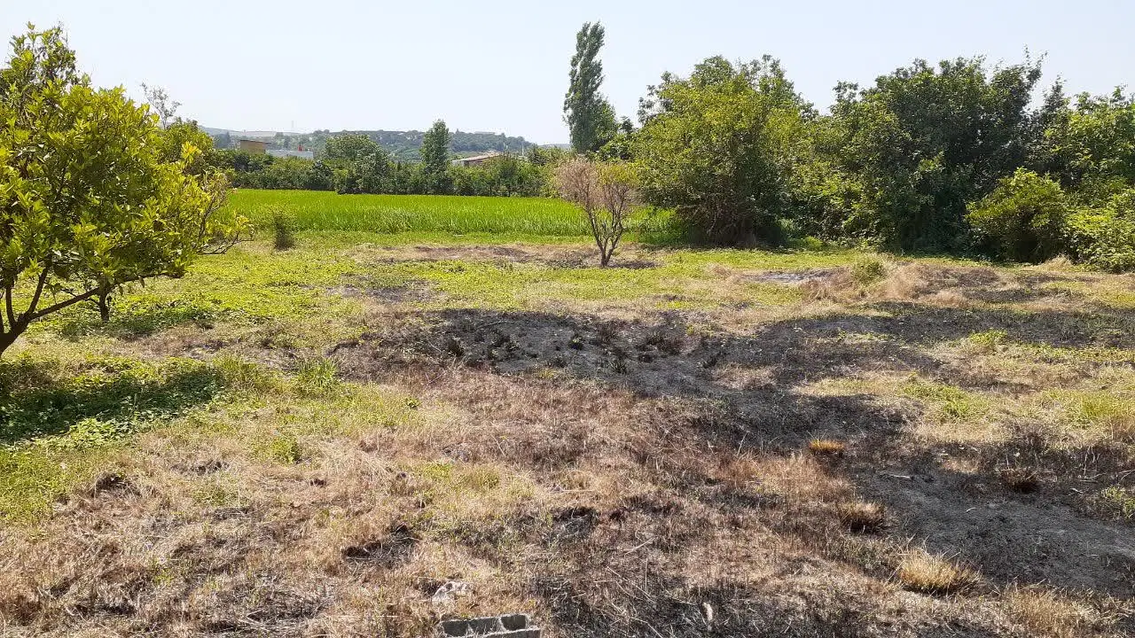 زمین باغ خانه سرا