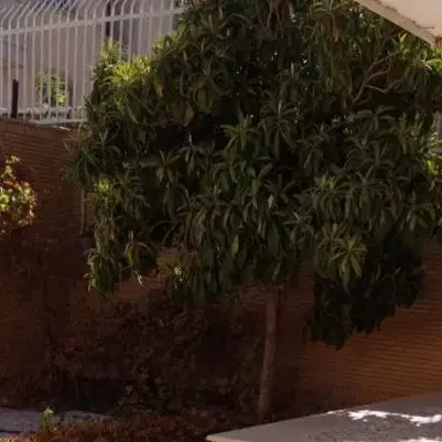 خانه ویلایی بزرگ۳۰۰متری