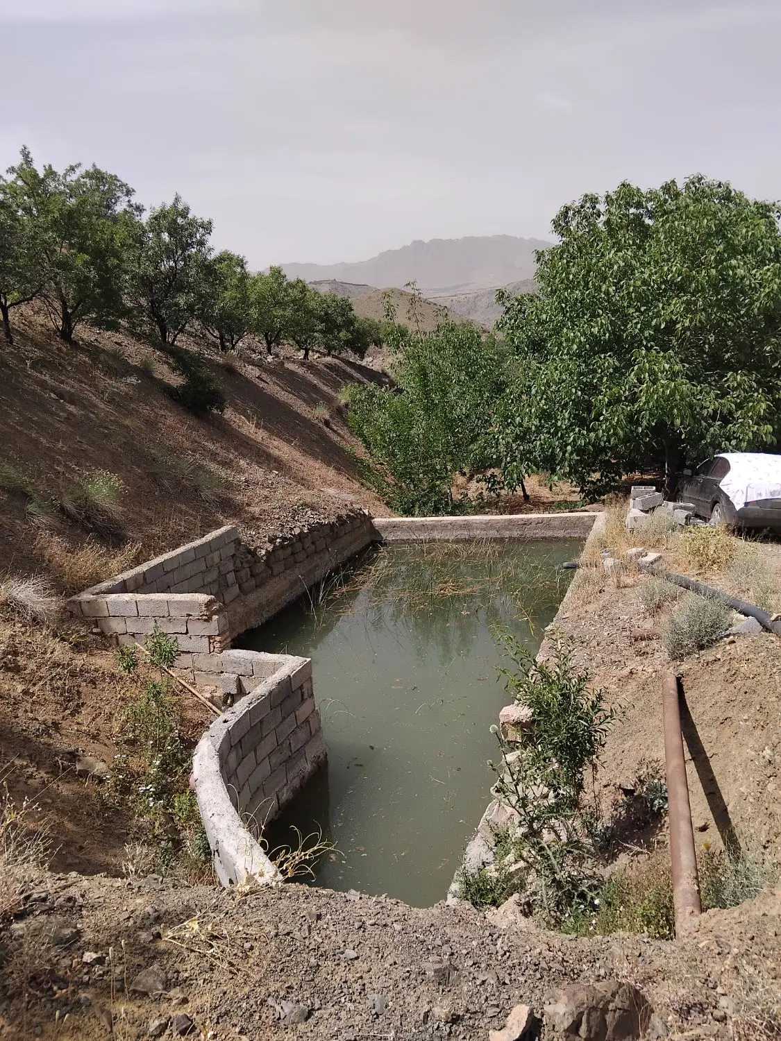 باغ واویلا در بهترین جای سامان.با ویویی زیبا