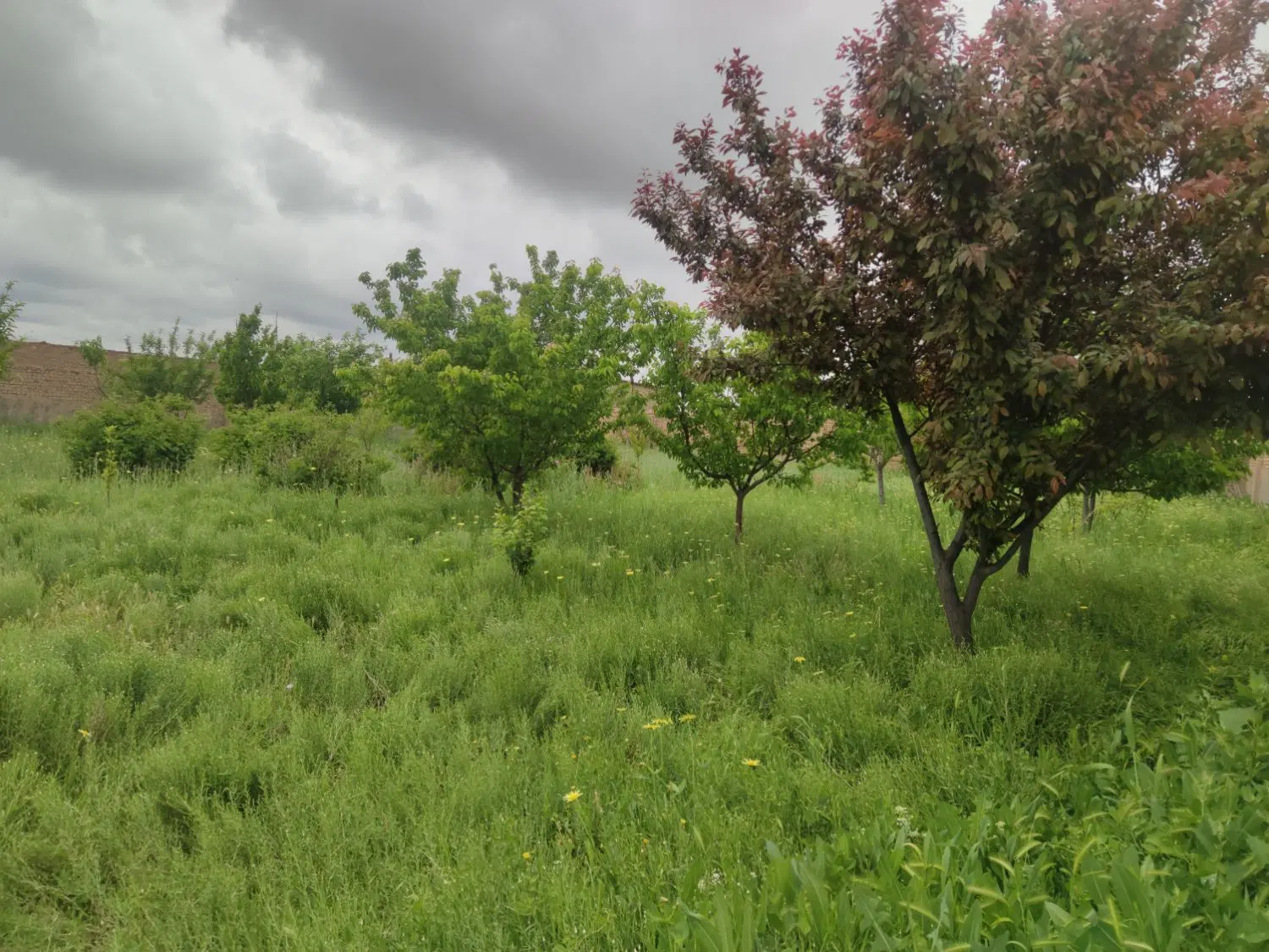 باغ بزرگ خوش قواره بزرگ با حاشیه ۳۰ متر