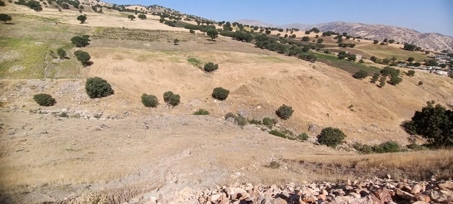 زمین کشاورزی دیم