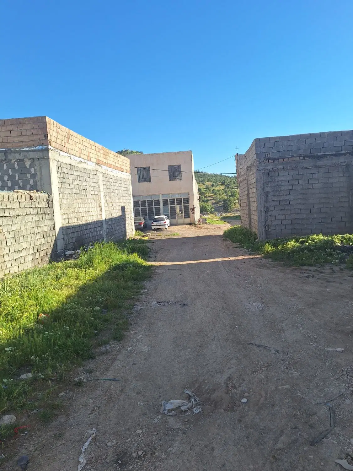 زمین