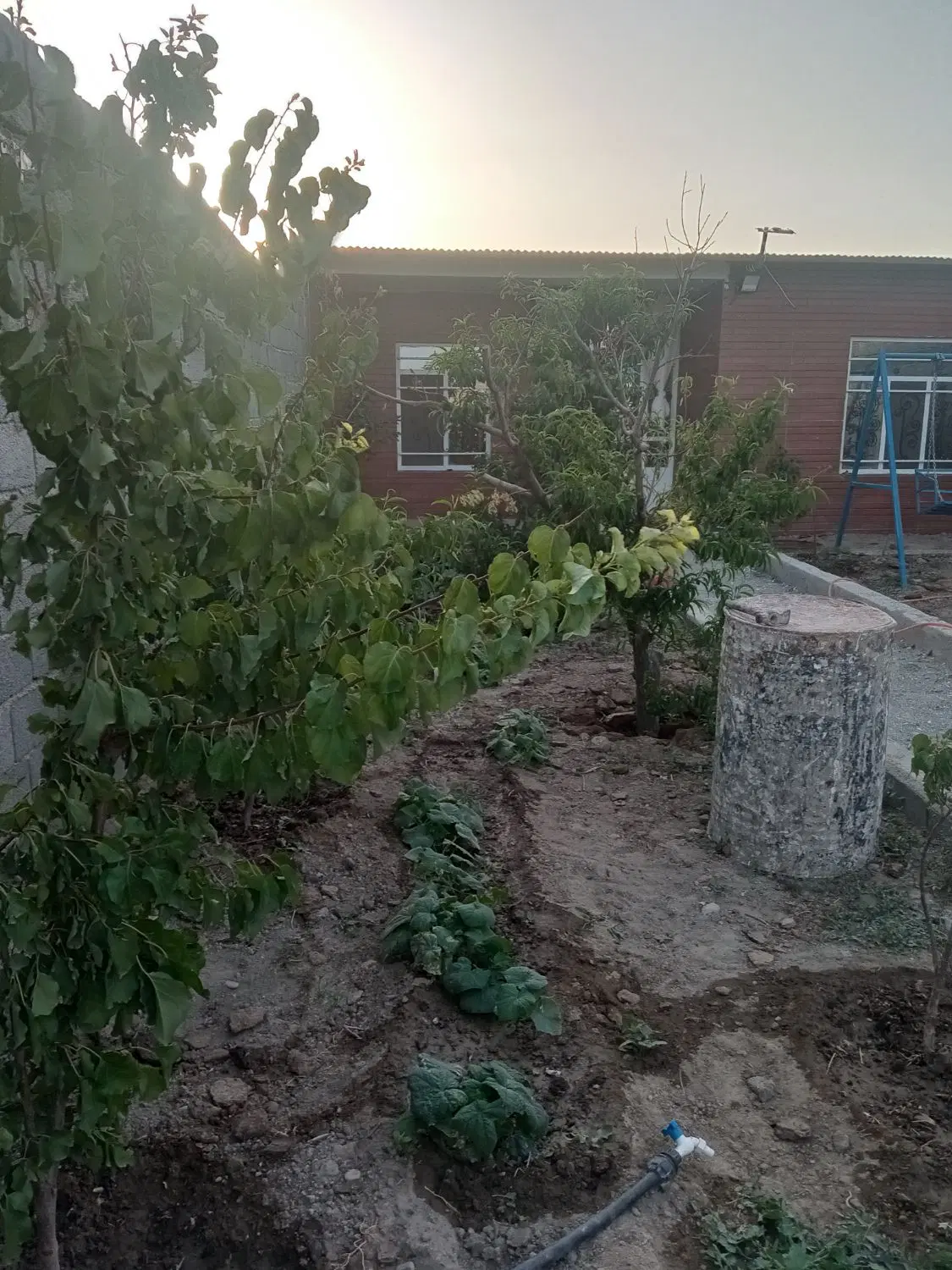 باغچه 210متری