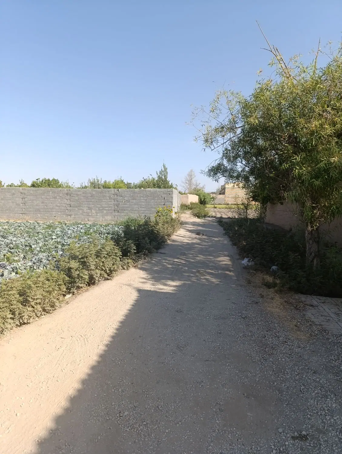 فروش خونه باغ