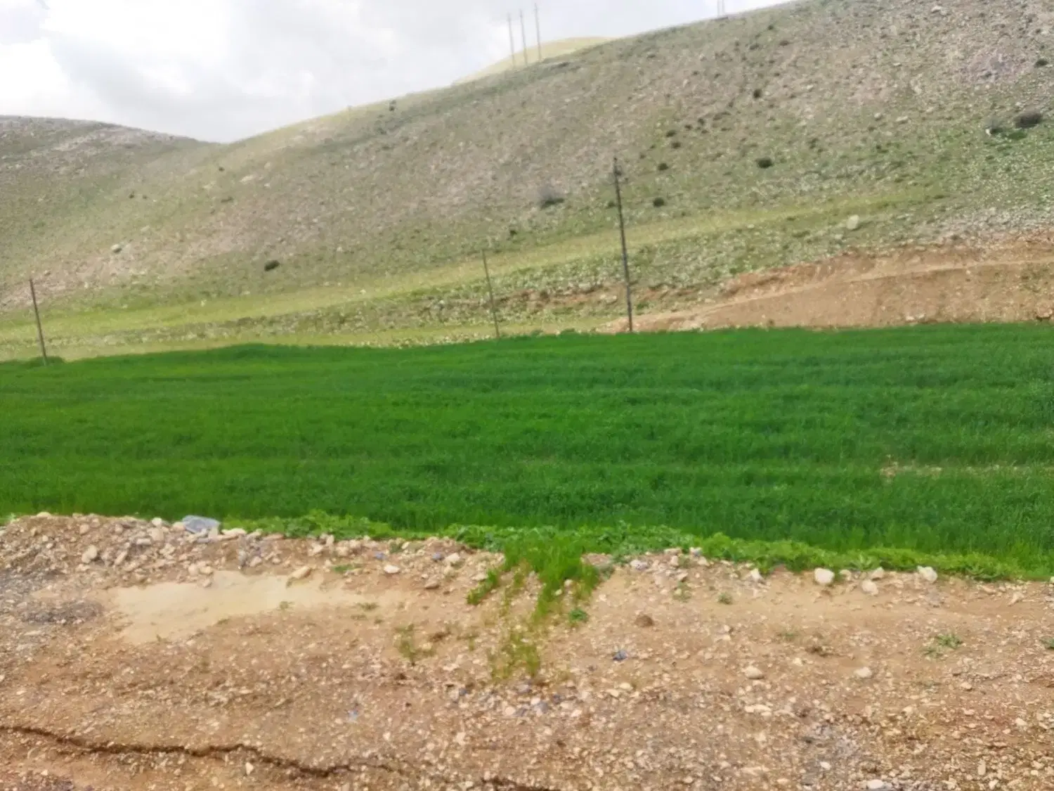 زمین