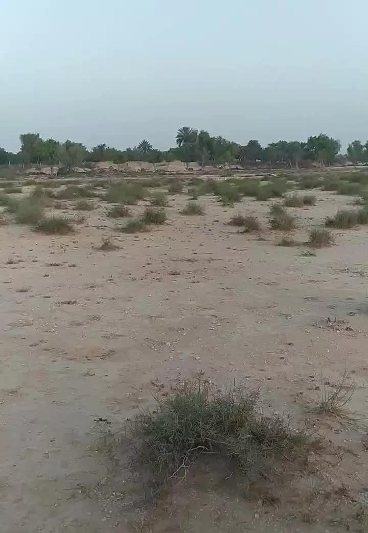 زمین