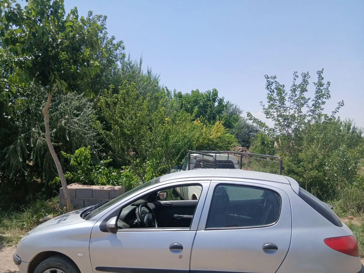 باغ و باغچه زمین با مجوز بنا سند ۶دانگ