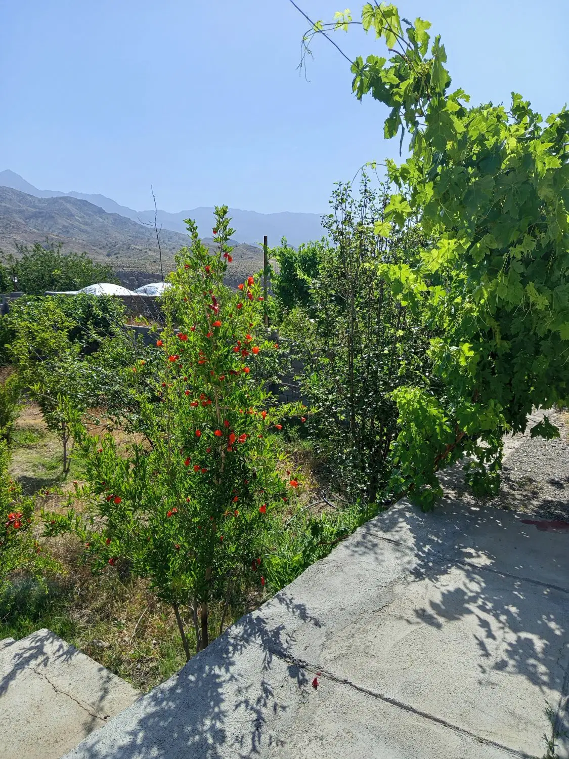 خانه باغ در سغدر