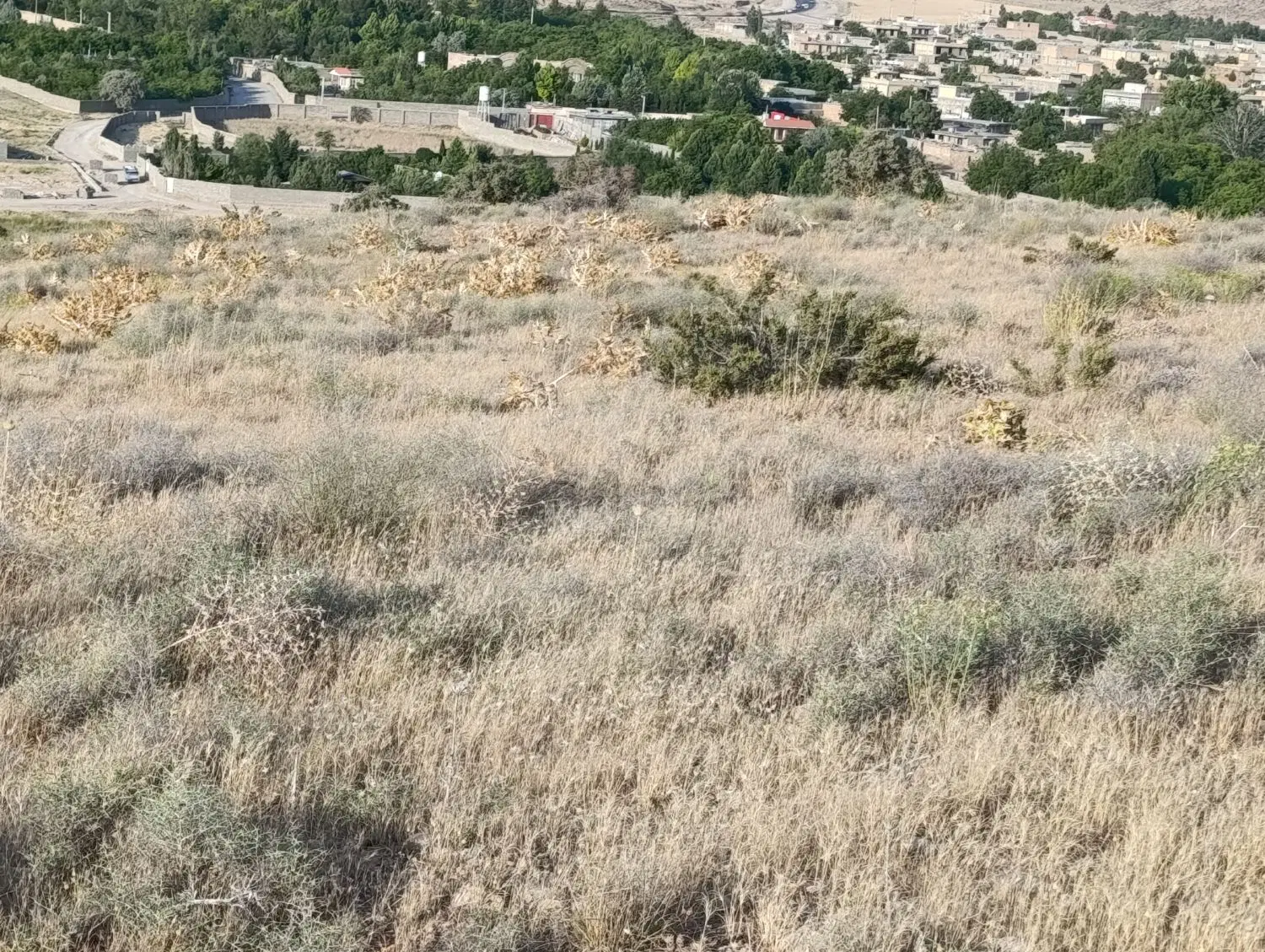 زمین کارگاهی