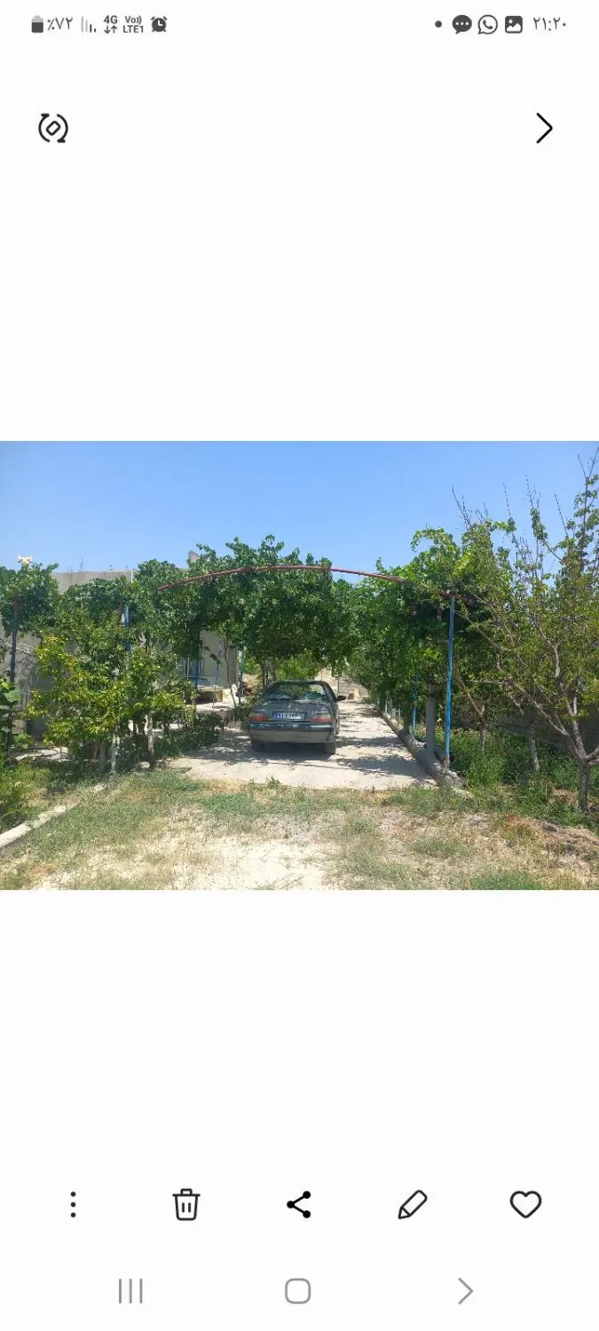 فروش باغ پسته