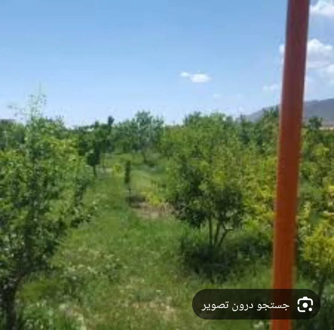 زمین 10هکتار