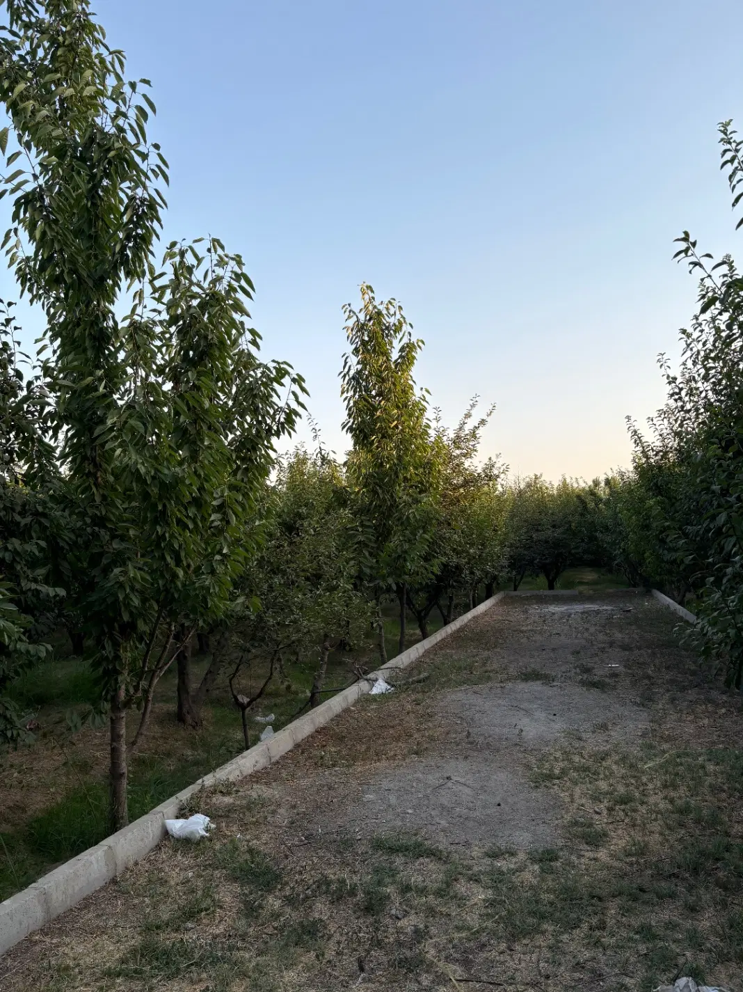 باغ چهار دیواری رامجین