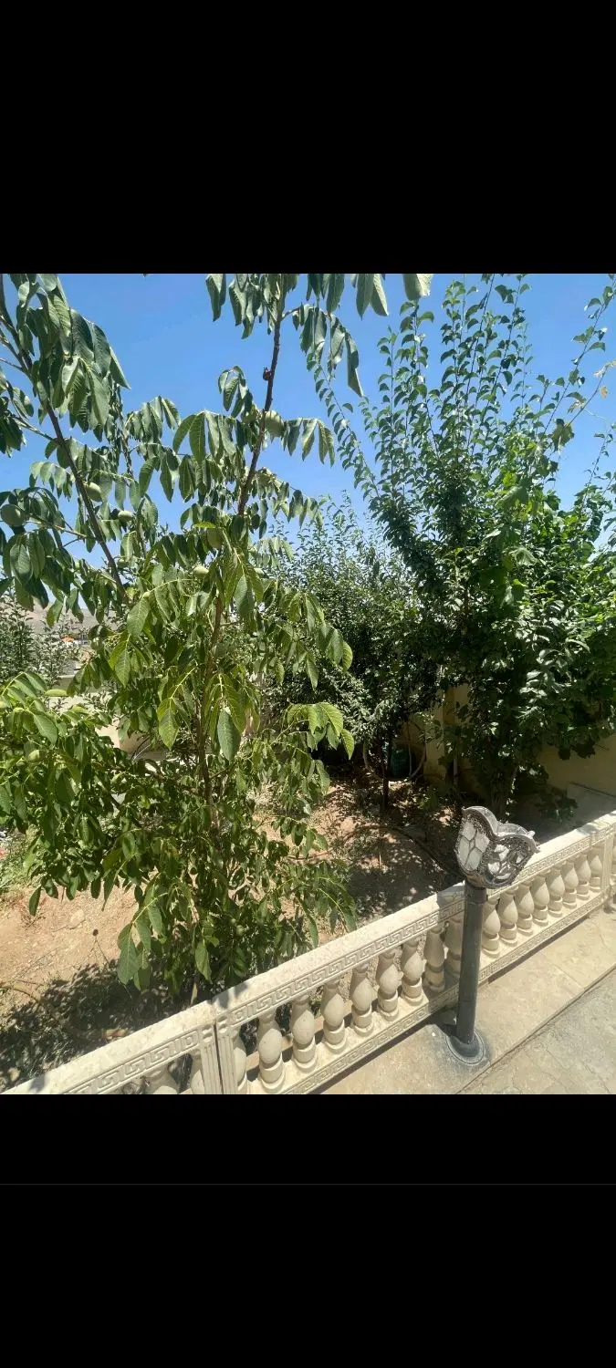 ۲۰۶متر باغ ویلا درجابان