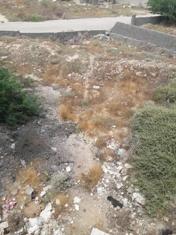 فروش زمین مسکونی کنگان