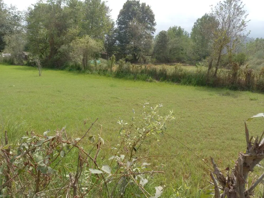 زمین مسکونی