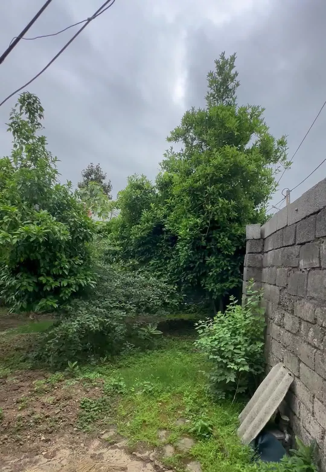 خانه ویلایی فروشی