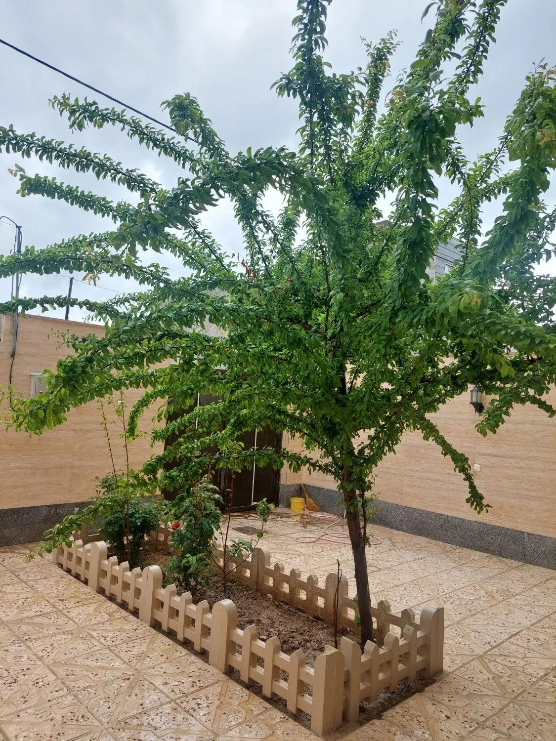 ساختمان ویلایی