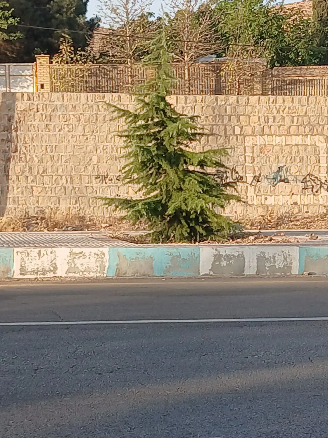 کنار زمین‌های بسیجیان