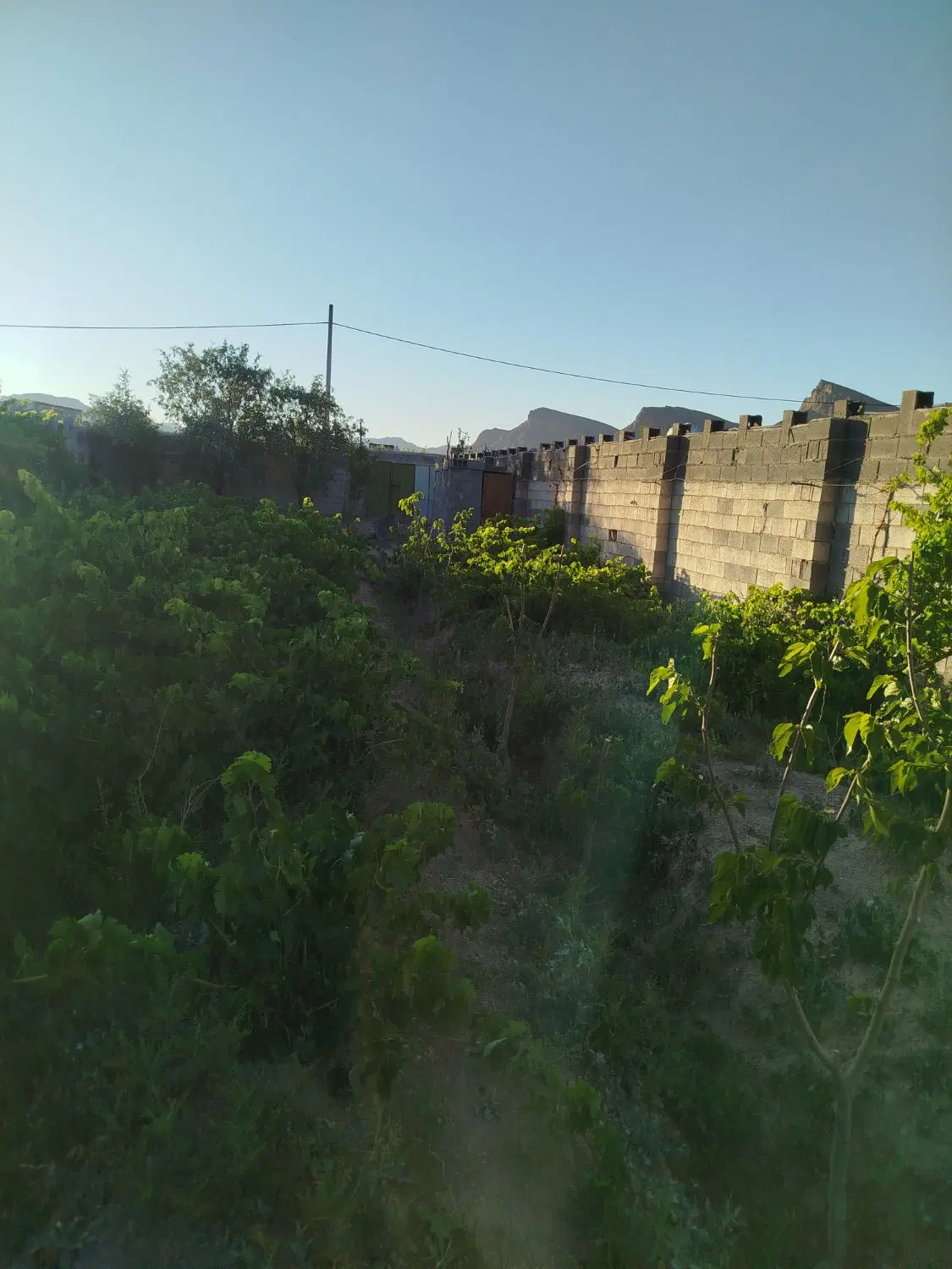 فروش باغ چهاردیواری علویجه