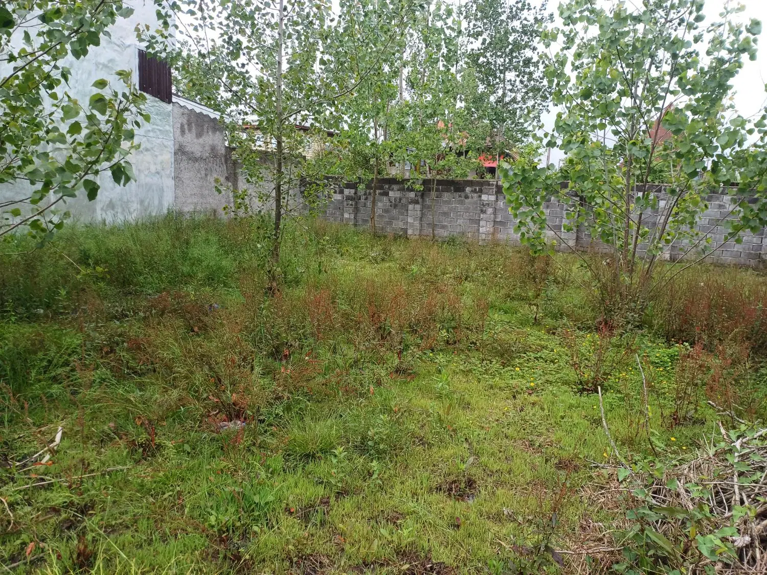 زمین مسکونی خاص و خوش قیمت