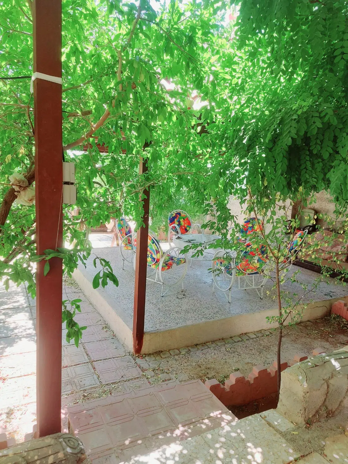 باغ شهری سیخ دارنگون سند تک برگ