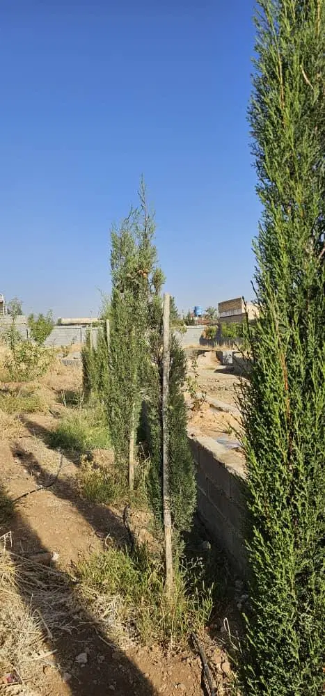 باغ مجموعه فاتحی اف ۳ نقد یا معاوضه با ماشین