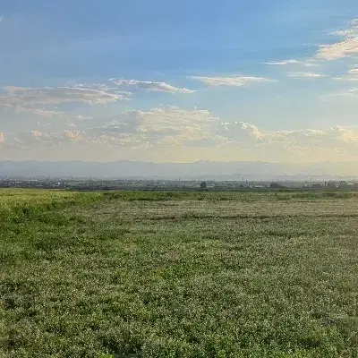۹۰۰ متر زمین کشاورزی