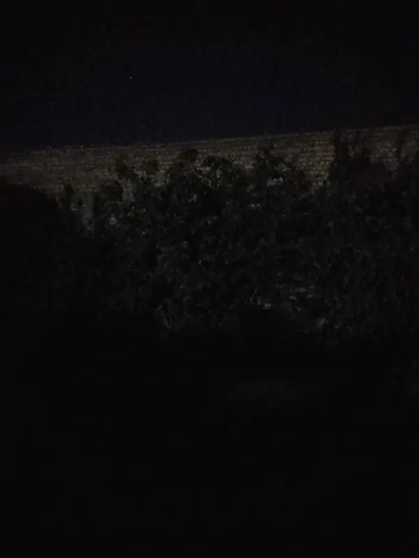 یک سوله ۳۰۰ متری اجازه داده میشود