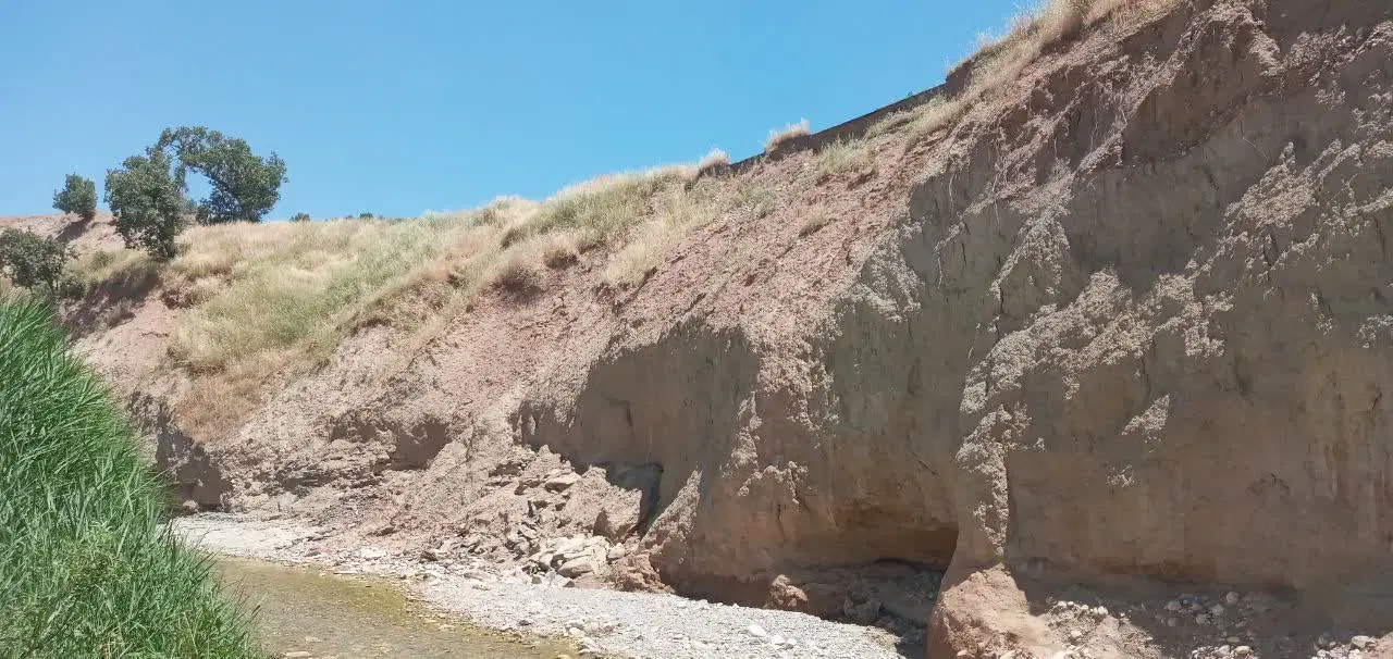زمین باغ نو