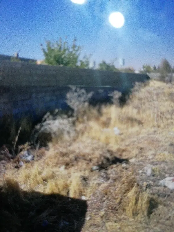 باغ شهری فاتح
