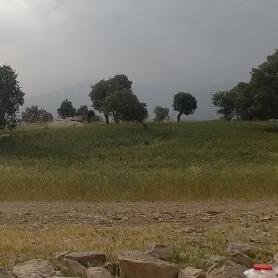 زمین