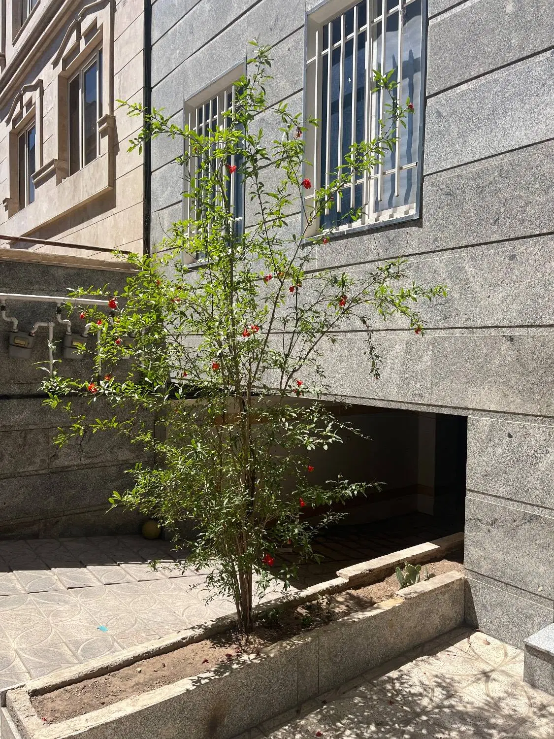 ۶۰ متر ۱ خواب خوش نقشه طبقه روی همکف خلیج