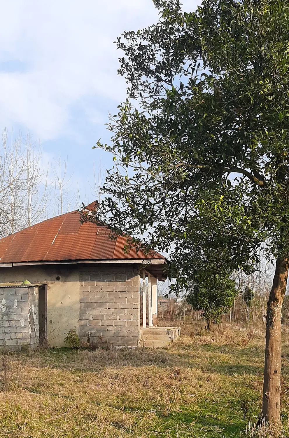 خانه کلنگی