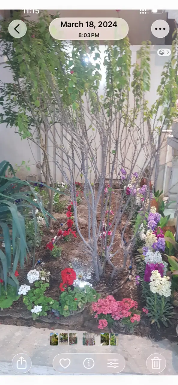 گلستان اجاره مغازه