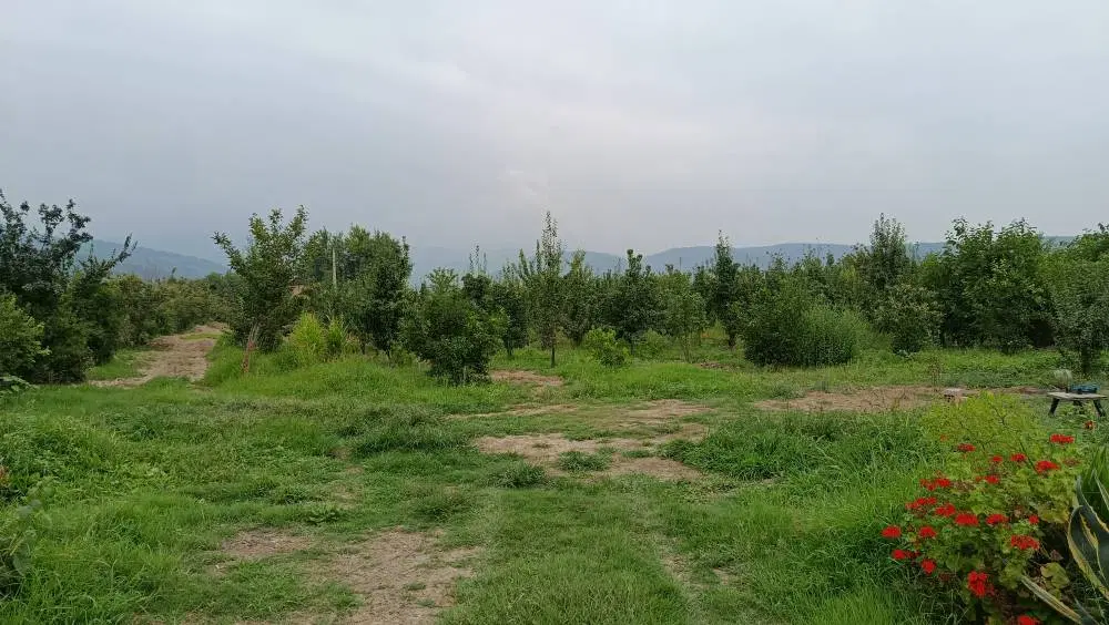زمین باغ و کشاورزی روستای نصرآباد