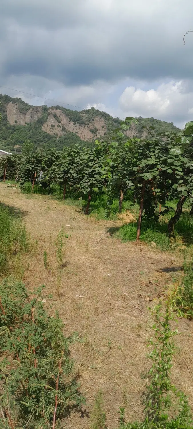 ۲۰۰۰ متر زمین خطبه سرا