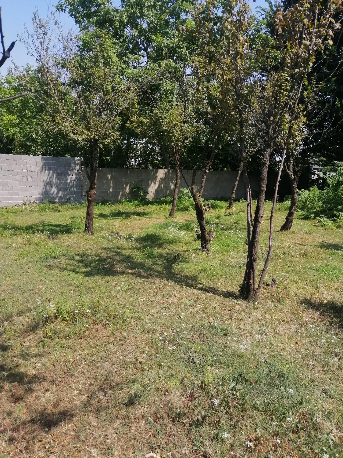 زمین مسکونی